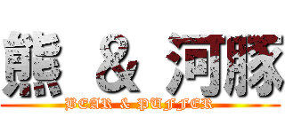 熊 ＆ 河豚 (BEAR & PUFFER)