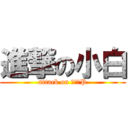 進撃の小白 (attack on 小白：P)