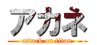 アカネ (attack on titan)
