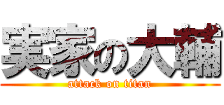 実家の大輔 (attack on titan)