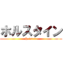 ホルスタイン (Holstein)