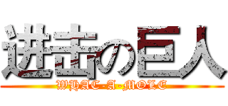 进击の巨人 (WHAC-A-MOLE)