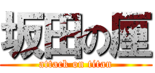 坂田の厘 (attack on titan)