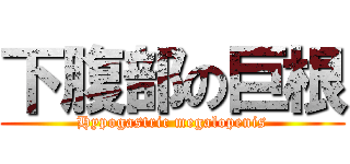 下腹部の巨根 (Hypogastric megalopenis)