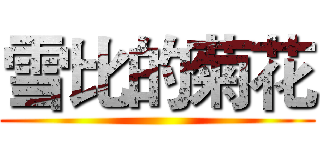 雪比的菊花 ()