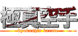 極真空手 (kyokushin karate)