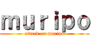 ｍｕｒｉｐｏ (attack on muripo)