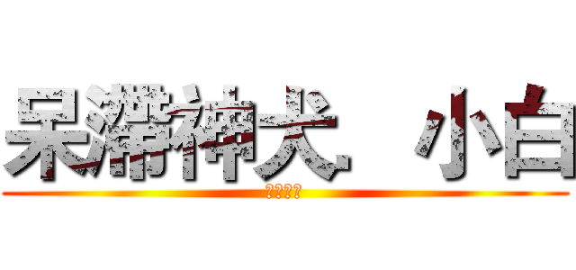 呆滯神犬．小白 (莫名的呆)