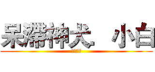 呆滯神犬．小白 (莫名的呆)