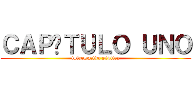 ＣＡＰÍＴＵＬＯ ＵＮＯ (información pública)