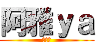 阿雅ｙａ (阿雅作)