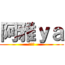 阿雅ｙａ (阿雅作)