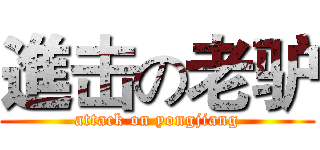 進击の老驴 (attack on yongjiang)