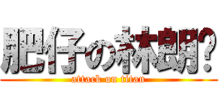肥仔の林朗彥 (attack on titan)