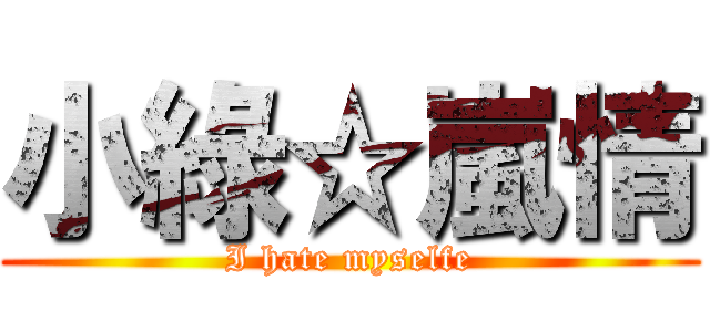 小綠☆嵐情 (I hate myselfe)
