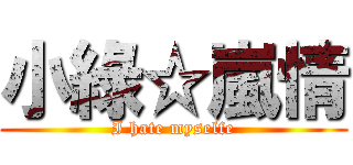 小綠☆嵐情 (I hate myselfe)