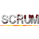 ＳＣＲＵＭ ()