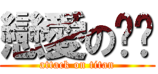 戀愛の婷婷 (attack on titan)