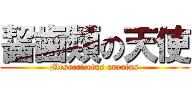 齧歯類の天使 (Mesocricetus auratus)