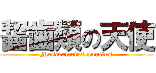 齧歯類の天使 (Mesocricetus auratus)