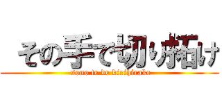  その手で切り拓け ( sono te de kirihirake)