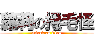 蘿莉の捲毛怪 (attack on titan)