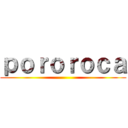 ｐｏｒｏｒｏｃａ ()