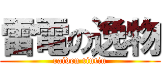 雷電の逸物 (raiden tintin)