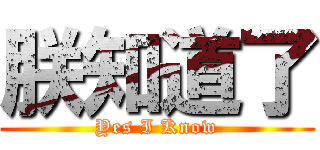 朕知道了 (Yes I Know)