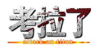 考拉了 (attack on titan)