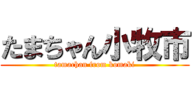 たまちゃん小牧市 (tamachan from komaki)