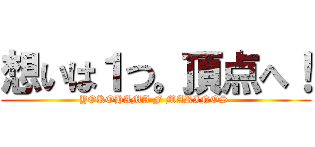 想いは１つ。頂点へ！ (YOKOHAMA F MARINOS )