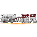 進撃の猫兒 (attack on titan)