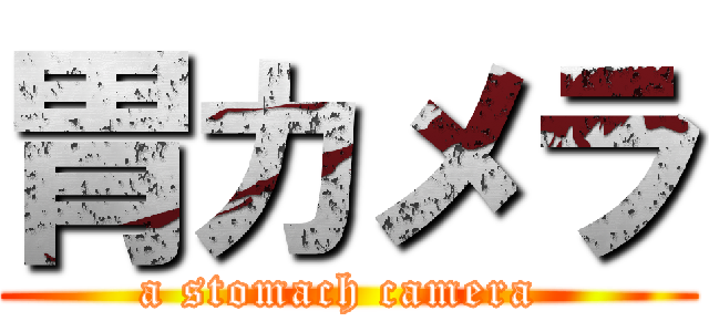 胃カメラ (a stomach camera )