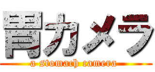 胃カメラ (a stomach camera )