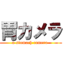 胃カメラ (a stomach camera )