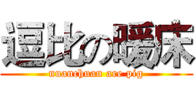 逗比の暖床 (nuanchuan are pig)