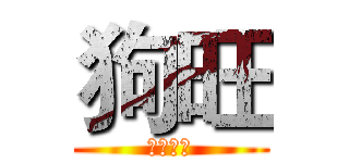 狗旺 (。。。。)