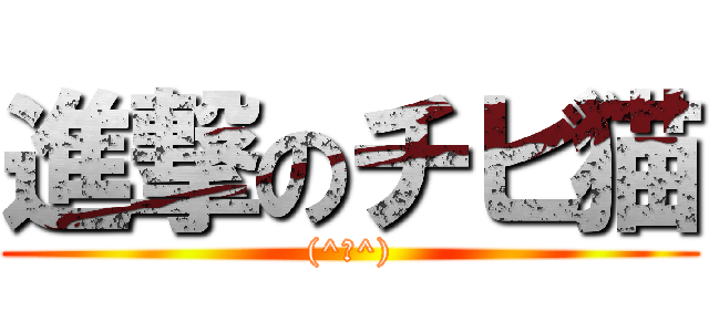 進撃のチビ猫 ((^ω^))