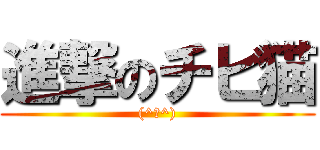 進撃のチビ猫 ((^ω^))