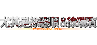 尤其是徐慶順＆徐瑞濱 (attack on COMPUTER)