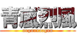 青嵐烈風 (aogunxaogun)