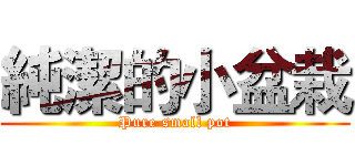 純潔的小盆栽 (Pure small pot)