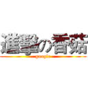 進擊の香菇 (google)