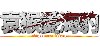袁猴愛海豹 (attack on titan)