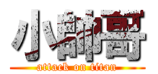 小帥哥 (attack on titan)