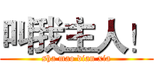 叫我主人！ (sha mao dian xia)