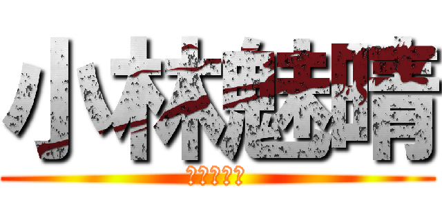 小林魅晴 (行きますか)