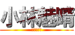 小林魅晴 (行きますか)