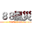 ８８風災 (88 Typhoon)